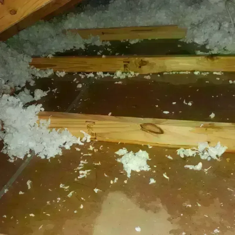 Attic Water Damage in Collinsville, OK