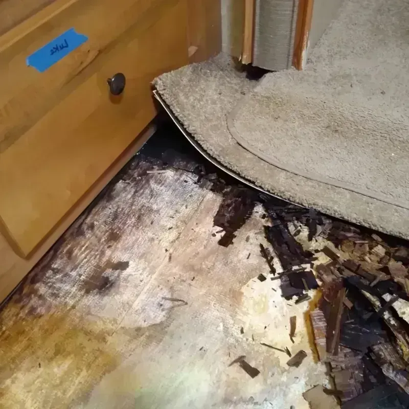 Best Wood Floor Water Damage Service in Collinsville, OK